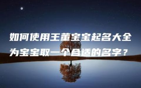 如何使用王董宝宝起名大全为宝宝取一个合适的名字？