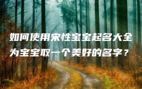 如何使用宋性宝宝起名大全为宝宝取一个美好的名字？