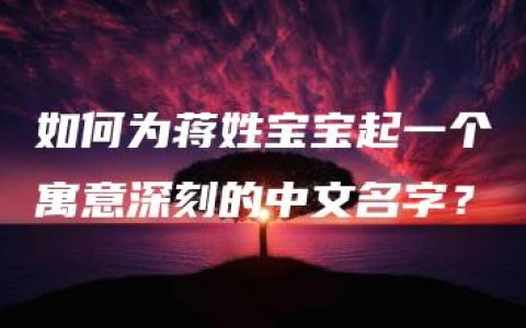 如何为蒋姓宝宝起一个寓意深刻的中文名字？