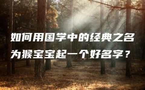 如何用国学中的经典之名为猴宝宝起一个好名字？