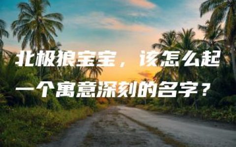 北极狼宝宝，该怎么起一个寓意深刻的名字？