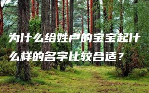 为什么给姓卢的宝宝起什么样的名字比较合适？