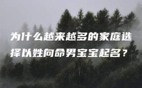 为什么越来越多的家庭选择以姓向命男宝宝起名？