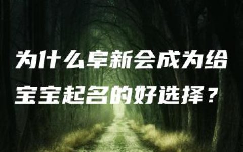 为什么阜新会成为给宝宝起名的好选择？