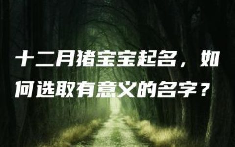 十二月猪宝宝起名，如何选取有意义的名字？