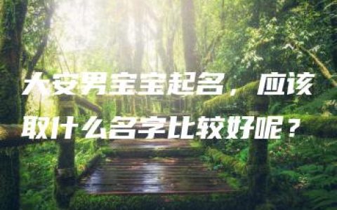 大安男宝宝起名，应该取什么名字比较好呢？