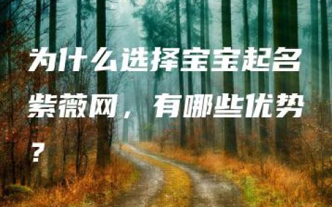 为什么选择宝宝起名紫薇网，有哪些优势？