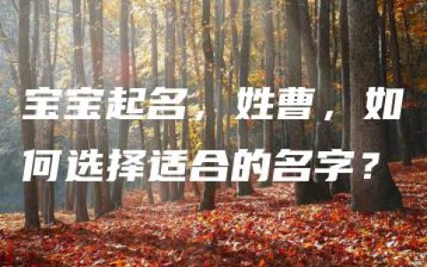 宝宝起名，姓曹，如何选择适合的名字？