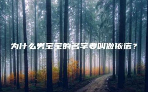 为什么男宝宝的名字要叫做依诺？