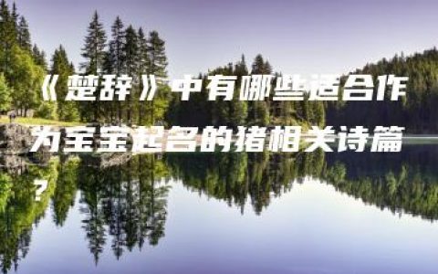 《楚辞》中有哪些适合作为宝宝起名的猪相关诗篇？