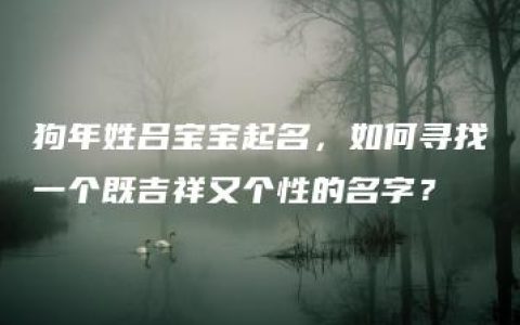 狗年姓吕宝宝起名，如何寻找一个既吉祥又个性的名字？