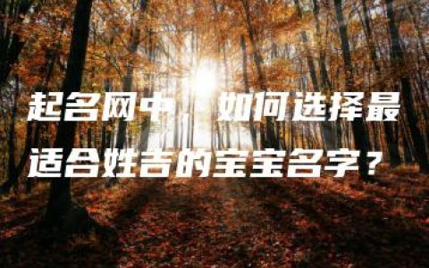 起名网中，如何选择最适合姓吉的宝宝名字？