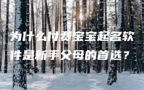 为什么付费宝宝起名软件是新手父母的首选？