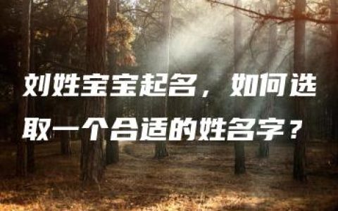 刘姓宝宝起名，如何选取一个合适的姓名字？