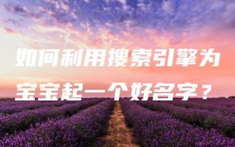 如何利用搜索引擎为宝宝起一个好名字？