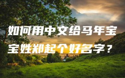 如何用中文给马年宝宝姓郑起个好名字？