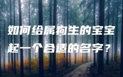 如何给属狗生的宝宝起一个合适的名字？