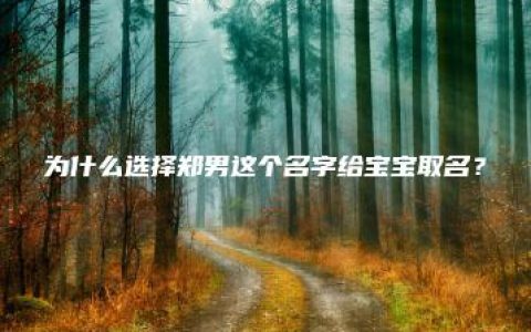 为什么选择郑男这个名字给宝宝取名？