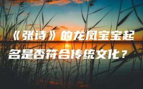 《张诗》的龙凤宝宝起名是否符合传统文化？