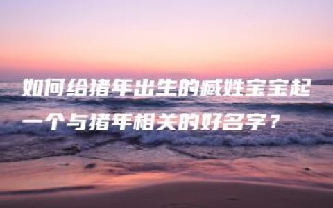 如何给猪年出生的臧姓宝宝起一个与猪年相关的好名字？