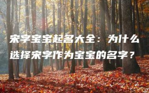 宋字宝宝起名大全：为什么选择宋字作为宝宝的名字？