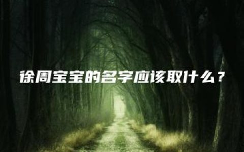 徐周宝宝的名字应该取什么？