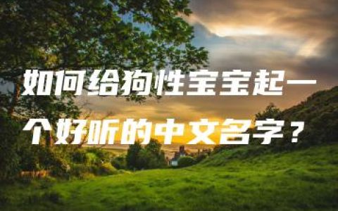 如何给狗性宝宝起一个好听的中文名字？