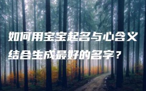 如何用宝宝起名与心含义结合生成最好的名字？