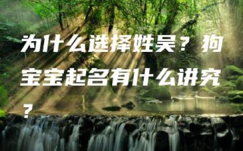 为什么选择姓吴？狗宝宝起名有什么讲究？