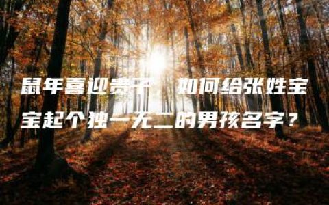 鼠年喜迎贵子，如何给张姓宝宝起个独一无二的男孩名字？