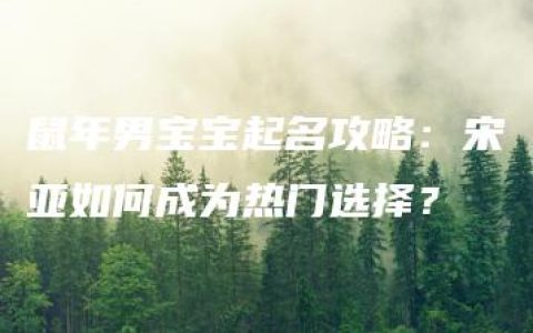 鼠年男宝宝起名攻略：宋亚如何成为热门选择？