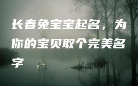 长春兔宝宝起名，为你的宝贝取个完美名字