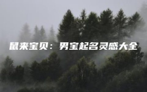 鼠来宝贝：男宝起名灵感大全