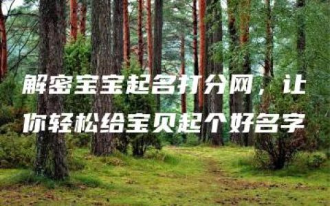 解密宝宝起名打分网，让你轻松给宝贝起个好名字