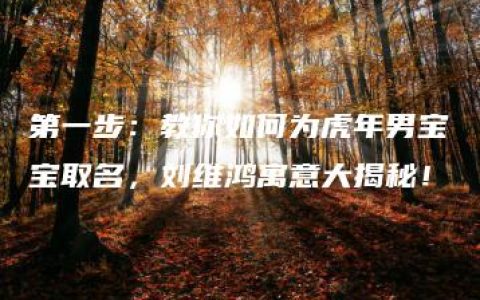 第一步：教你如何为虎年男宝宝取名，刘维鸿寓意大揭秘！