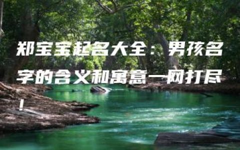 郑宝宝起名大全：男孩名字的含义和寓意一网打尽！