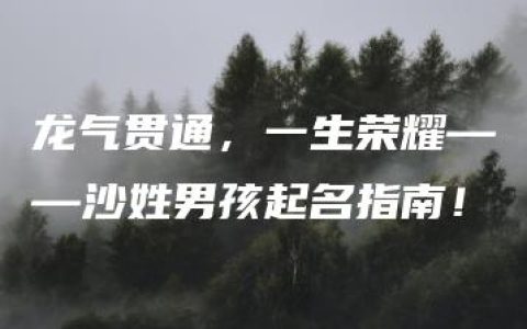 龙气贯通，一生荣耀——沙姓男孩起名指南！