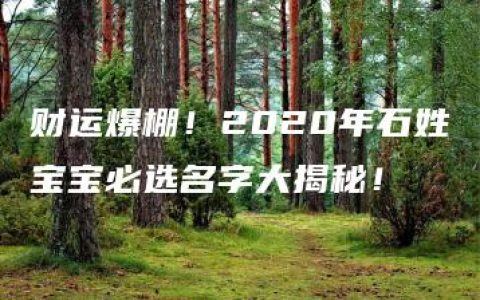 财运爆棚！2020年石姓宝宝必选名字大揭秘！