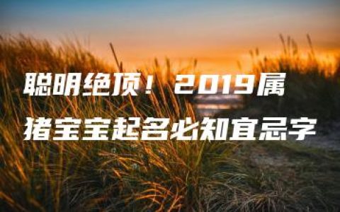 聪明绝顶！2019属猪宝宝起名必知宜忌字