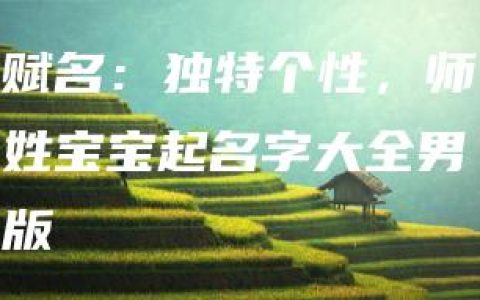 赋名：独特个性，师姓宝宝起名字大全男版