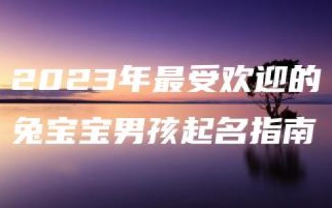 2023年最受欢迎的兔宝宝男孩起名指南