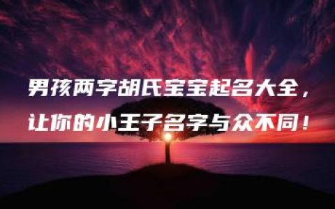 男孩两字胡氏宝宝起名大全，让你的小王子名字与众不同！