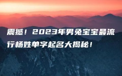 震撼！2023年男兔宝宝最流行杨姓单字起名大揭秘！