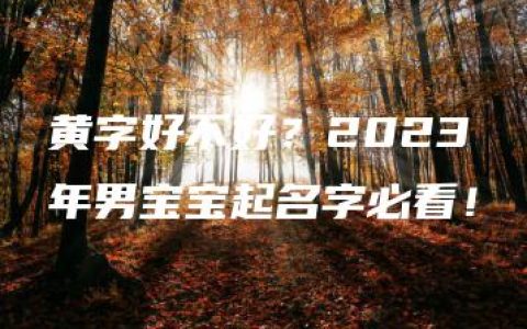 黄字好不好？2023年男宝宝起名字必看！