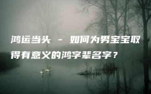 鸿运当头 - 如何为男宝宝取得有意义的鸿字辈名字？