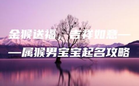 金猴送福，吉祥如意——属猴男宝宝起名攻略