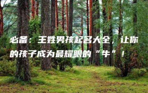 必备：王姓男孩起名大全，让你的孩子成为最耀眼的“牛”！