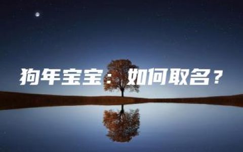 狗年宝宝：如何取名？