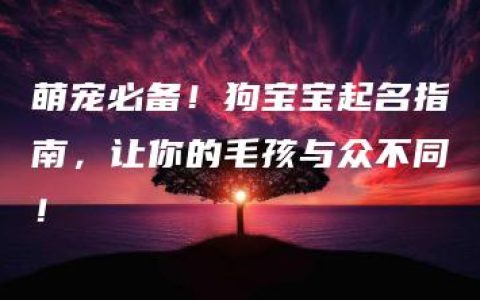 萌宠必备！狗宝宝起名指南，让你的毛孩与众不同！