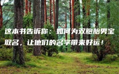 这本书告诉你：如何为双胞胎男宝取名，让他们的名字带来好运！